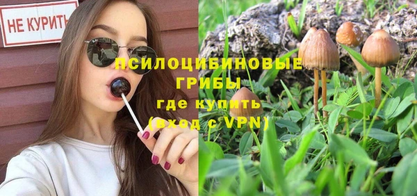 ПСИЛОЦИБИНОВЫЕ ГРИБЫ Баксан