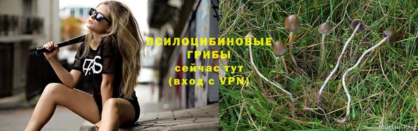 каннабис Белокуриха